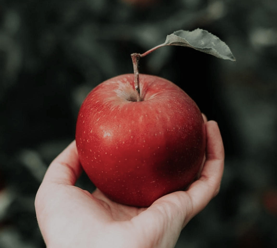 apple in a hand