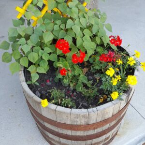 Flower Barrel with yellow and red flowers