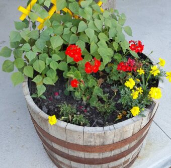 Flower Barrel with yellow and red flowers