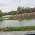 This was a great corn field.