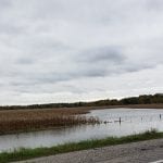 The Iowa River flooded making mini-lakes!