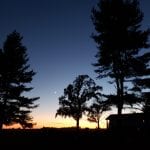 Evening sky with trees