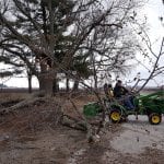 We began to move the trees out of the street.